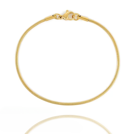 Chloe Round Snake Chain Bracelet