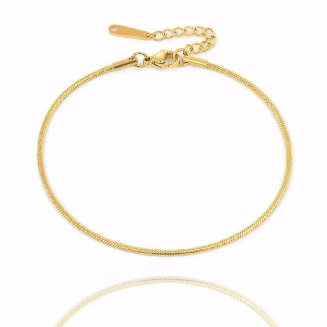 Chloe Round Snake Chain Anklet