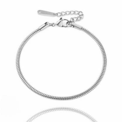 Chloe Round Snake Chain Anklet